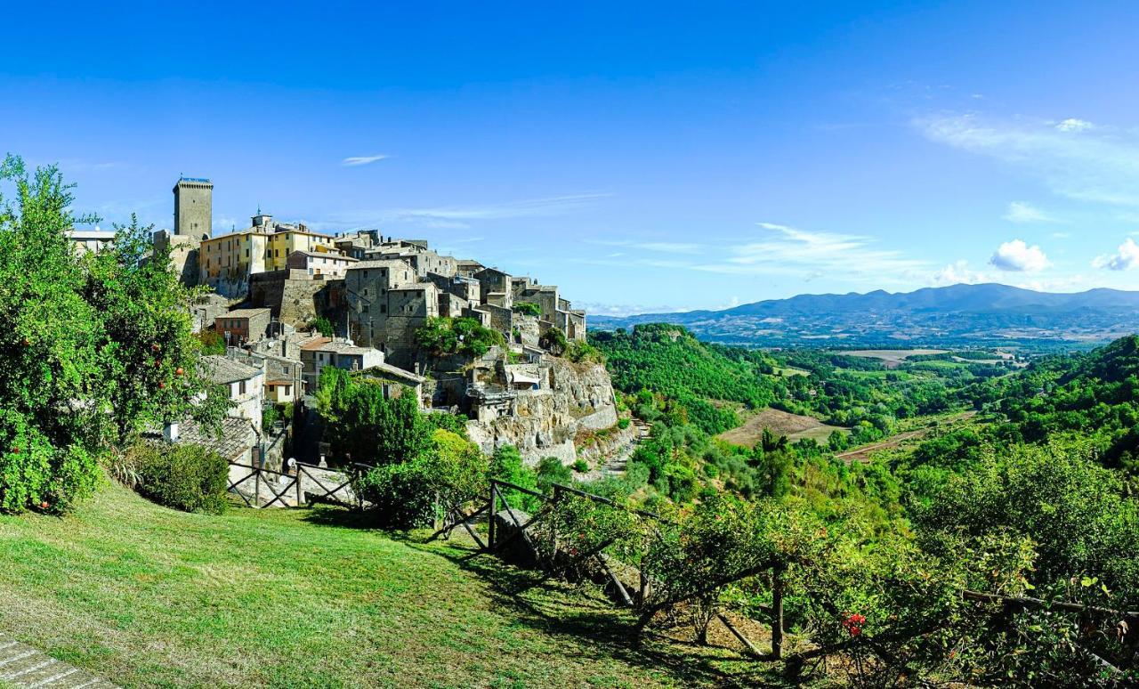 Cortile Nel Borgo Apartment Civitella d'Agliano Bagian luar foto